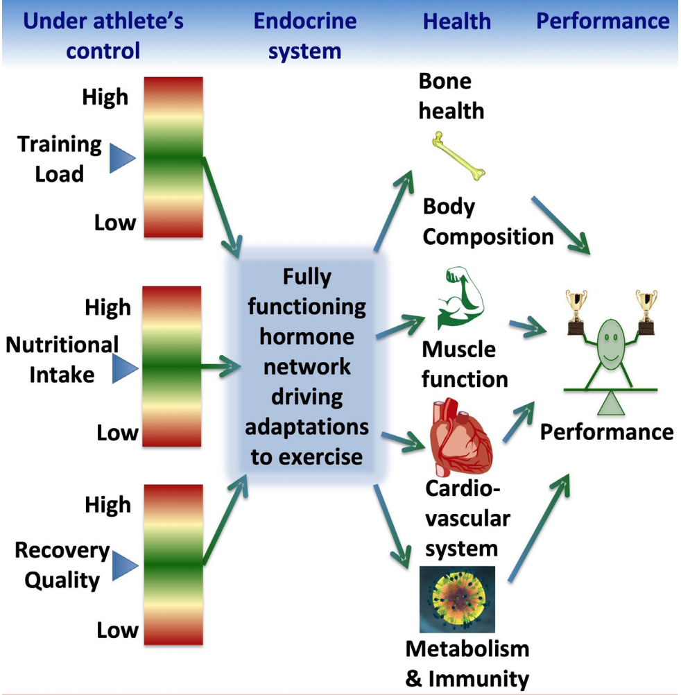 Screenshot 2019-04-08 at 12.19.45